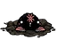 Second-hand Dentures